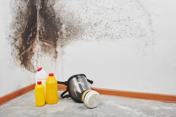 Best Residential Mold Remediation in Sewaren, NJ