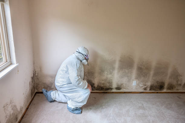 Best Post-Remediation Services in Sewaren, NJ