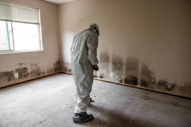 Best Industrial Mold Remediation in Sewaren, NJ