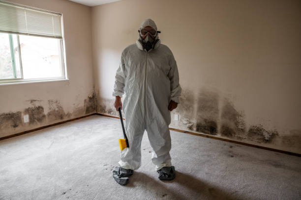 Best Post-Flood Mold Remediation in Sewaren, NJ