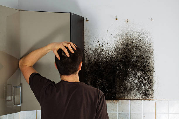 Best Kitchen Mold Remediation in Sewaren, NJ